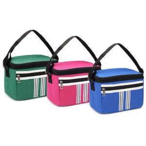 کیف خنک نگهدارنده غذا و دارو 5 لیتری - تصویر 10