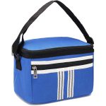 کیف خنک نگهدارنده غذا و دارو 5 لیتری