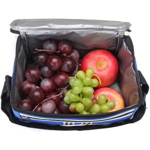 کیف خنک نگهدارنده غذا و دارو 5 لیتری - تصویر 5