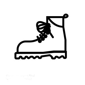 کفش کوهنوردی